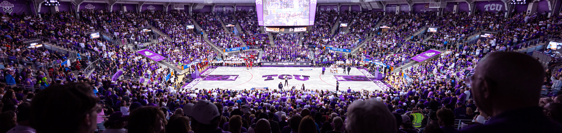 Mark Campbell Basketball Camps